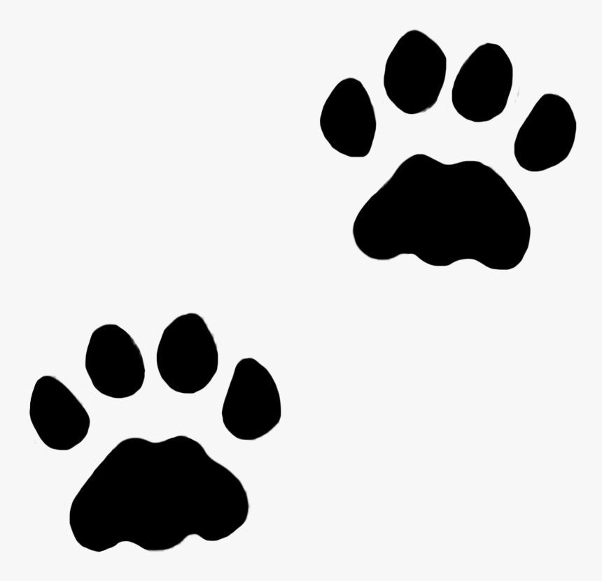 Detail Wolf Print Png Nomer 21