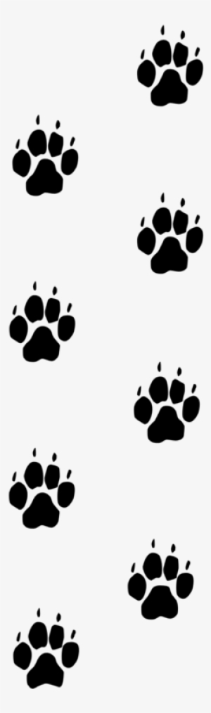 Detail Wolf Print Png Nomer 43