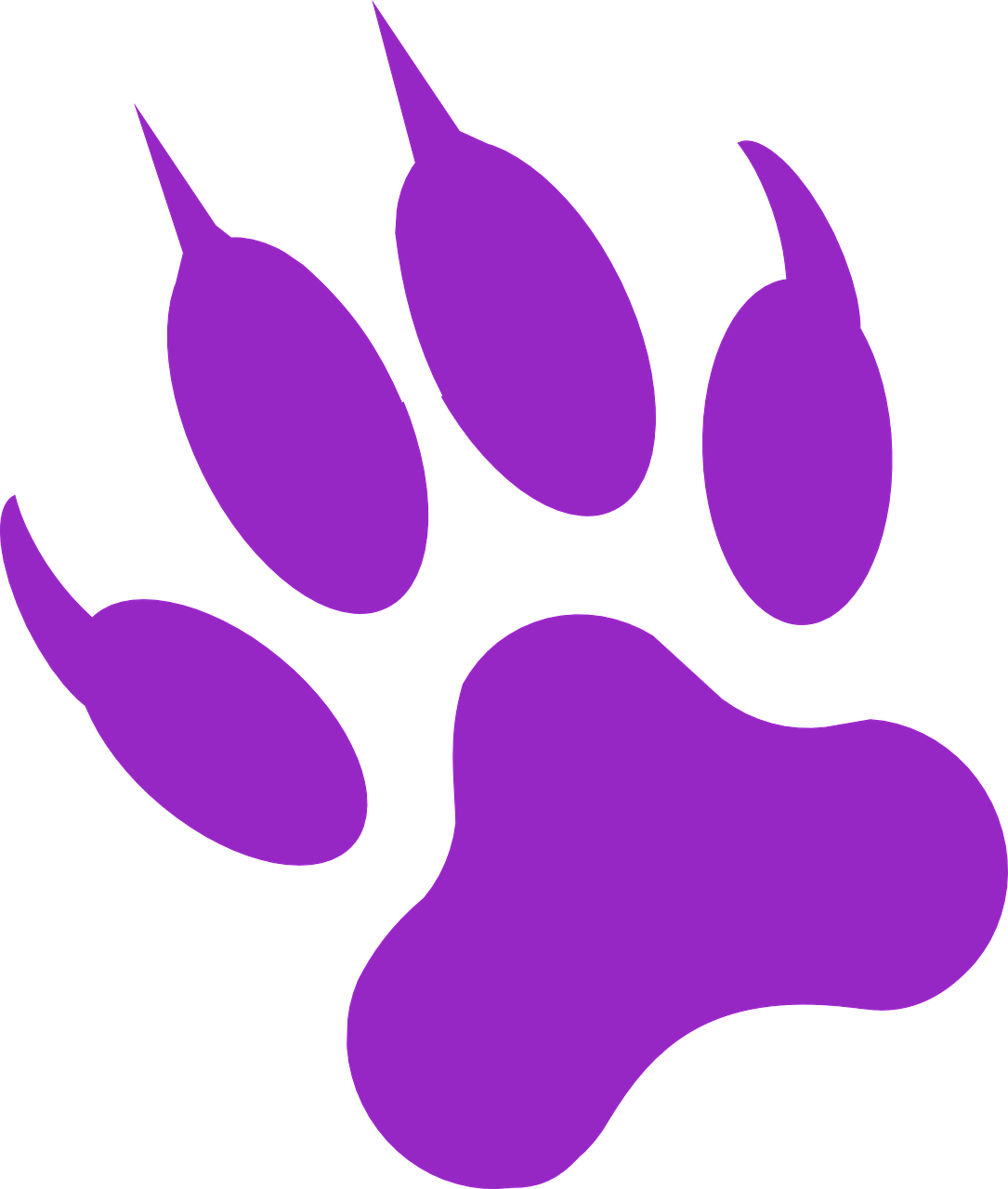 Detail Wolf Print Png Nomer 48