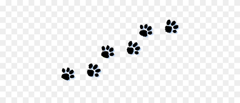 Detail Wolf Print Png Nomer 49