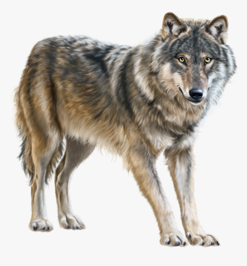 Detail Wolf Transparent Background Nomer 3