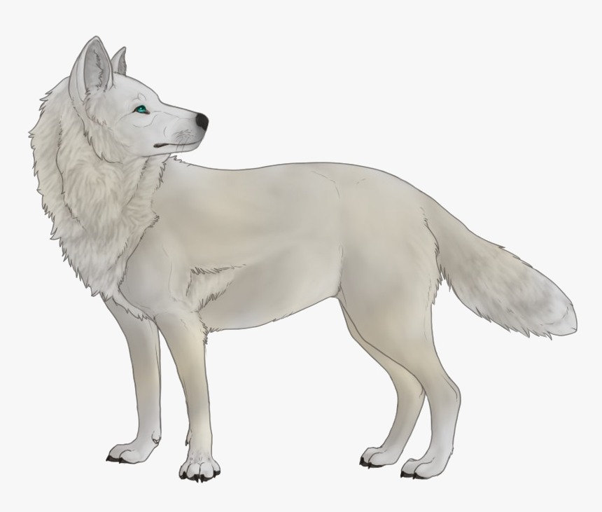 Detail Wolf Transparent Background Nomer 30