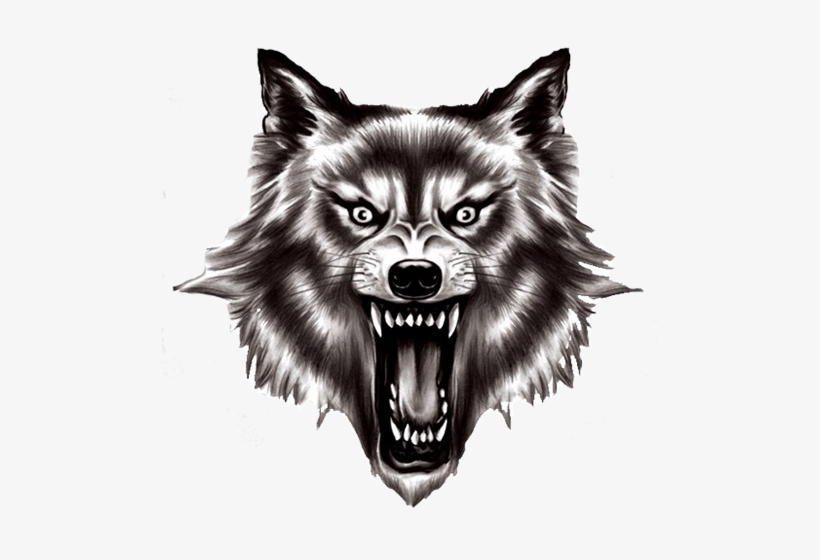 Detail Wolf Transparent Background Nomer 36