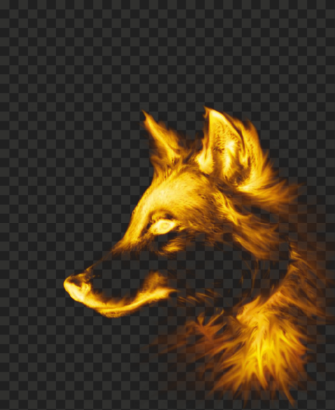 Detail Wolf Transparent Background Nomer 54