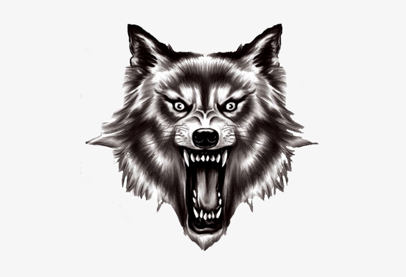 Detail Wolf Transparent Png Nomer 32
