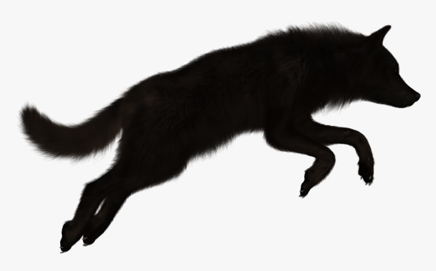 Detail Wolf Transparent Png Nomer 49