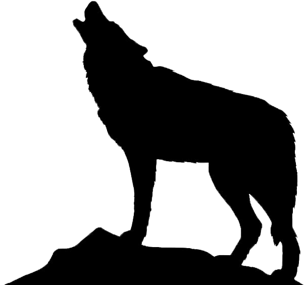 Detail Wolf Vector Png Nomer 18