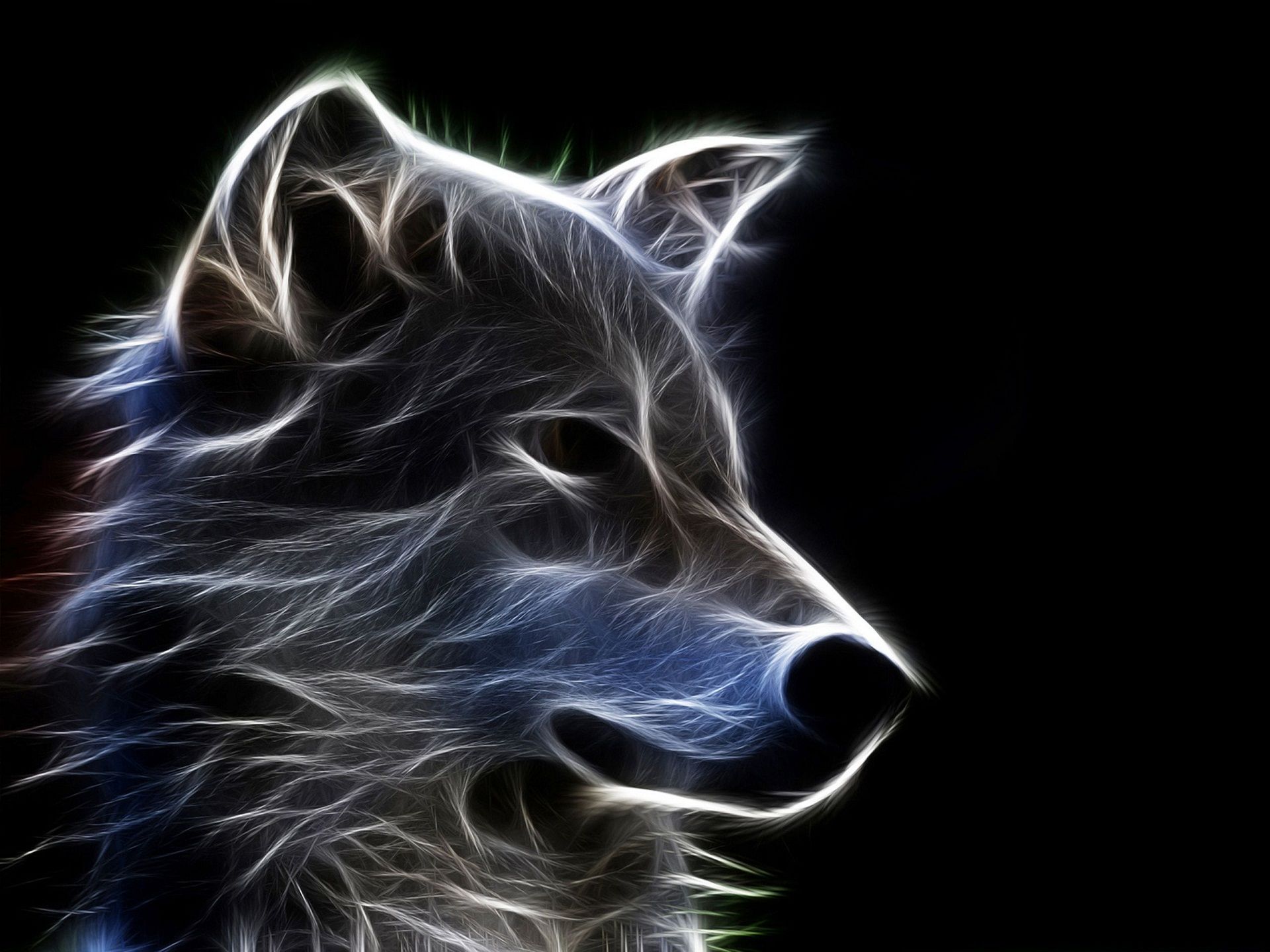 Detail Wolf Wallpaper 3d Nomer 11