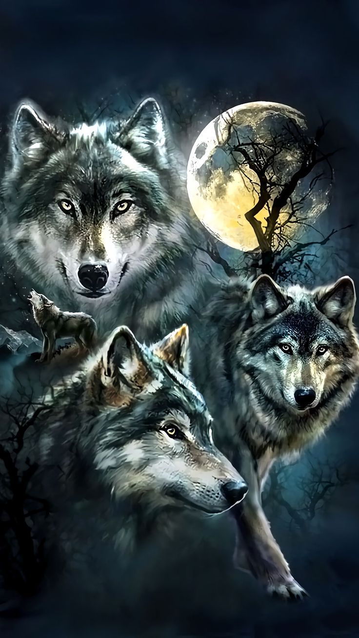 Detail Wolf Wallpaper 3d Nomer 20