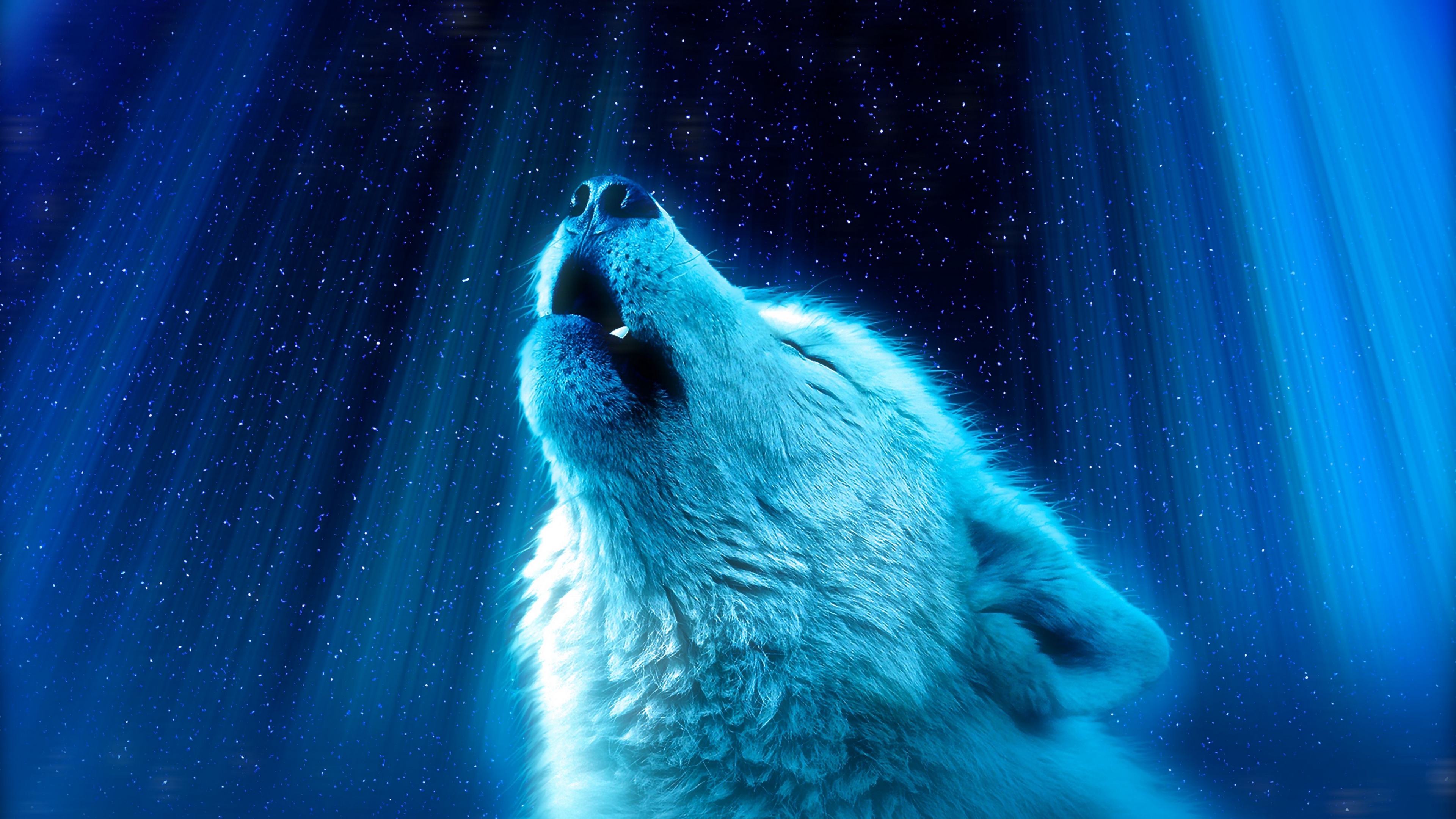 Detail Wolf Wallpaper 4k Nomer 34