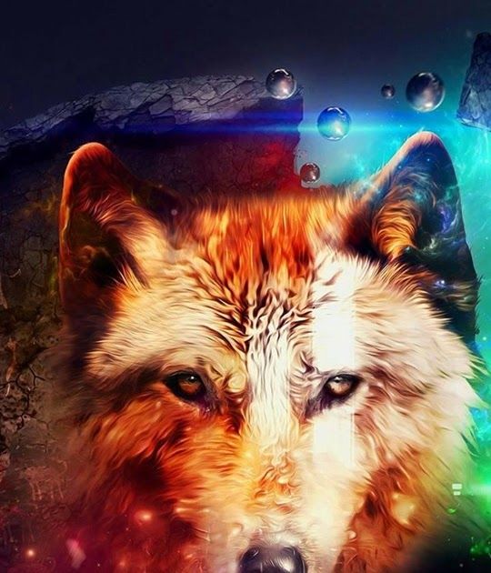 Detail Wolf Wallpaper Android Nomer 16