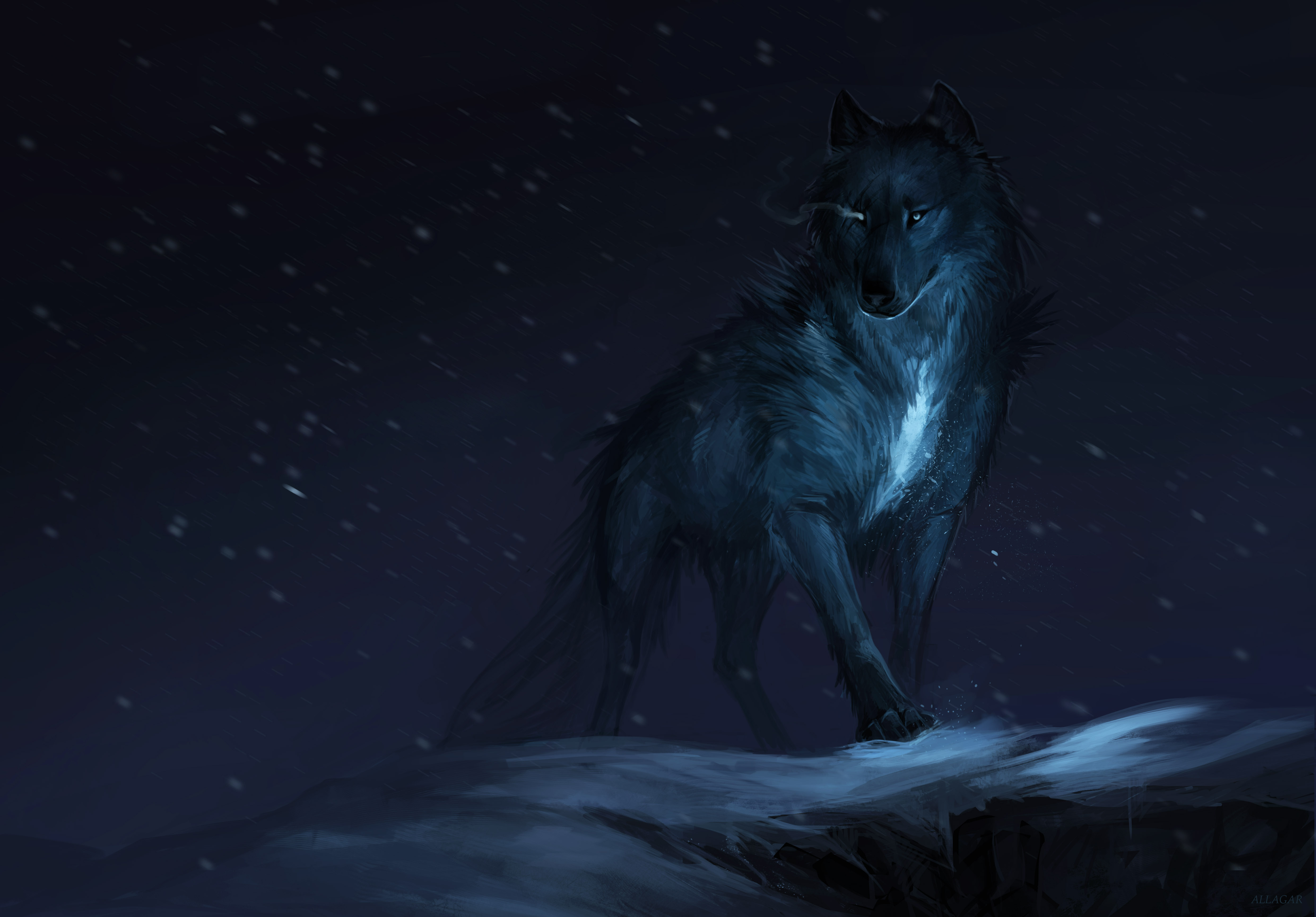 Detail Wolf Wallpaper Android Nomer 20
