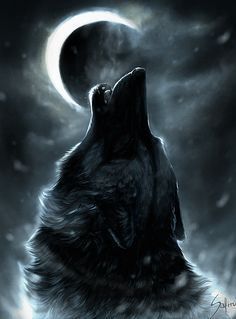 Detail Wolf Wallpaper Android Nomer 23