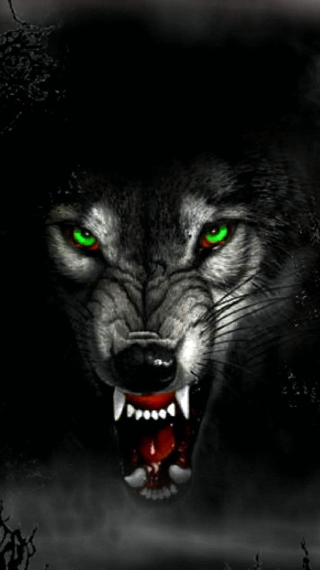 Detail Wolf Wallpaper Android Nomer 26