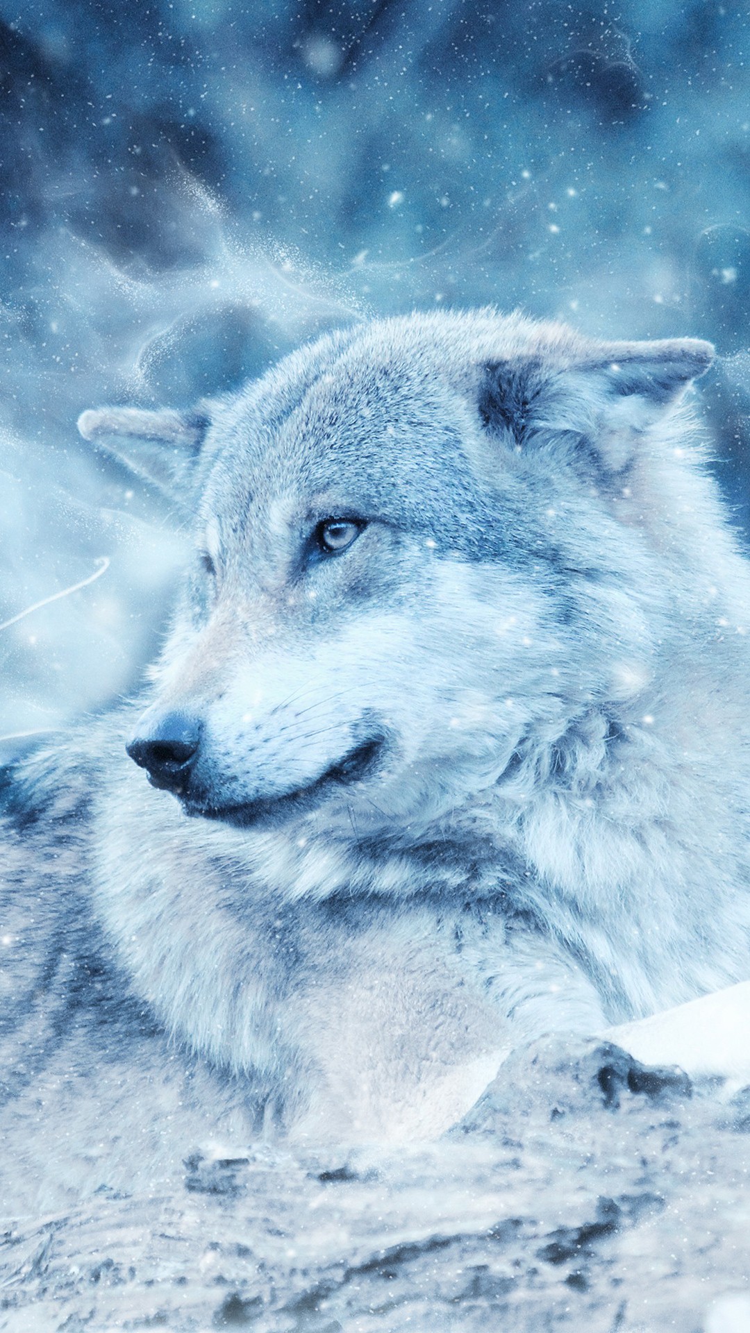 Detail Wolf Wallpaper Android Nomer 28