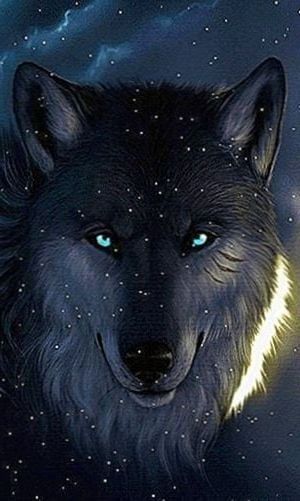 Detail Wolf Wallpaper Android Nomer 4