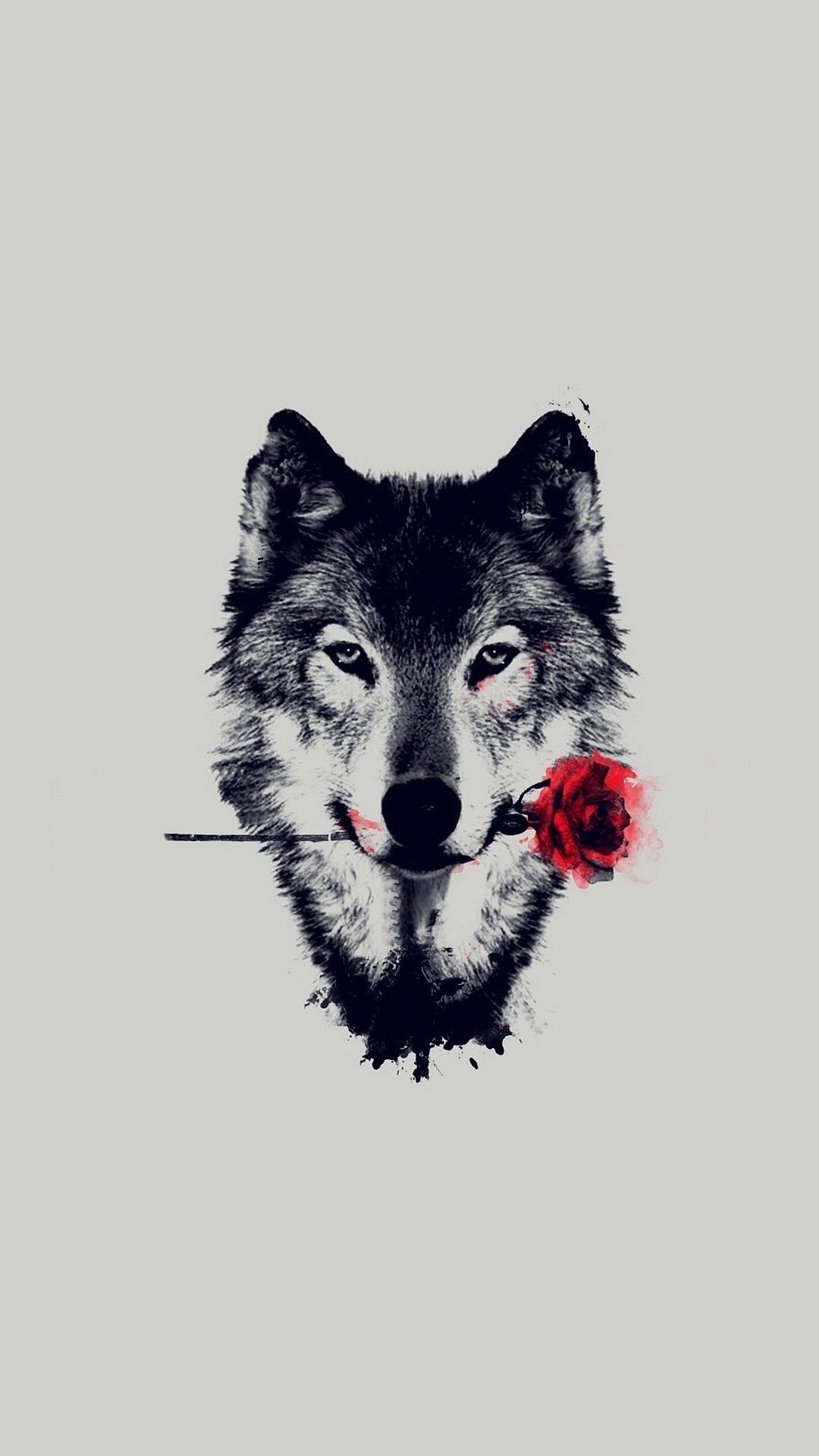 Detail Wolf Wallpaper Android Nomer 47