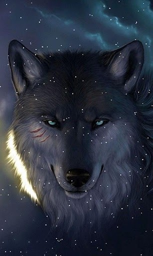 Detail Wolf Wallpaper Android Nomer 6