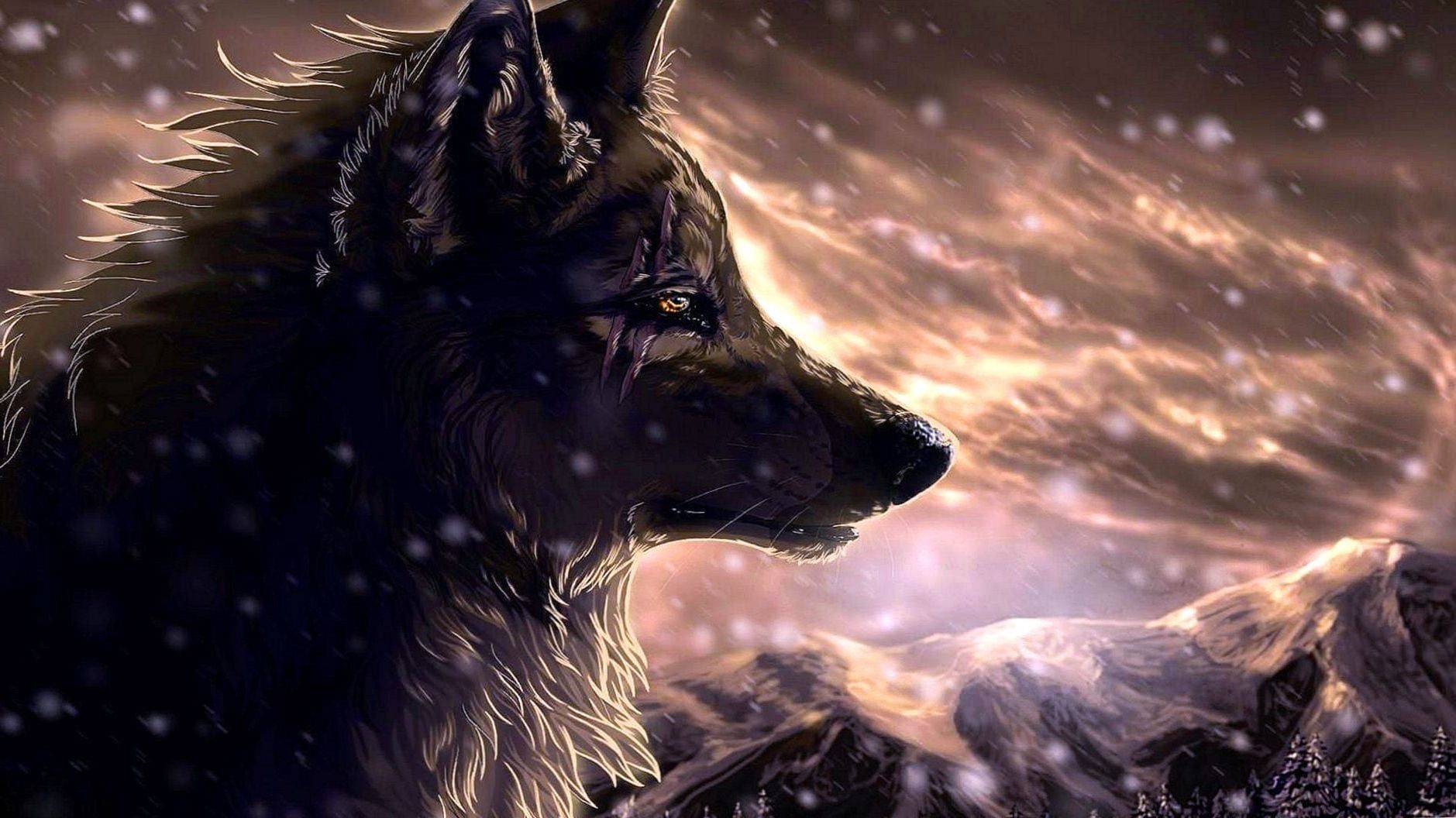 Detail Wolf Wallpaper Hd Nomer 43