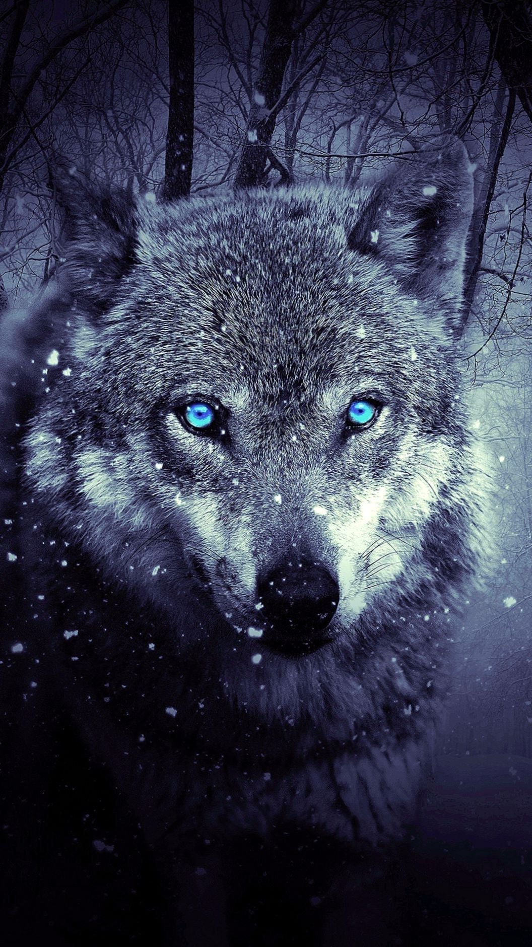 Detail Wolf Wallpaper Iphone Nomer 20