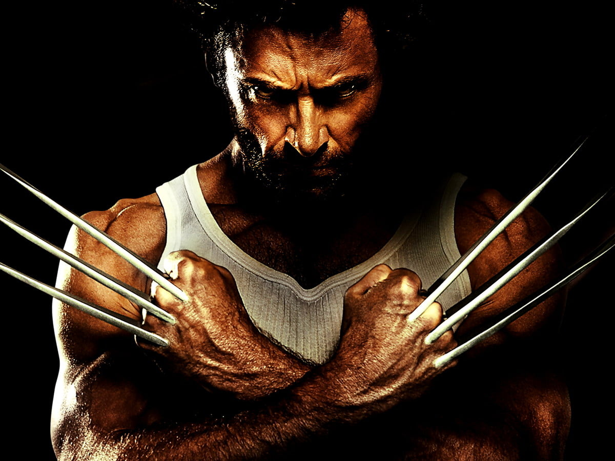 Detail Wolverine Background Wallpaper Nomer 15