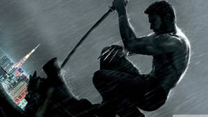 Detail Wolverine Background Wallpaper Nomer 49