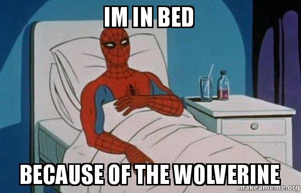 Detail Wolverine Bed Meme Nomer 31