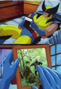 Detail Wolverine Bed Meme Nomer 47