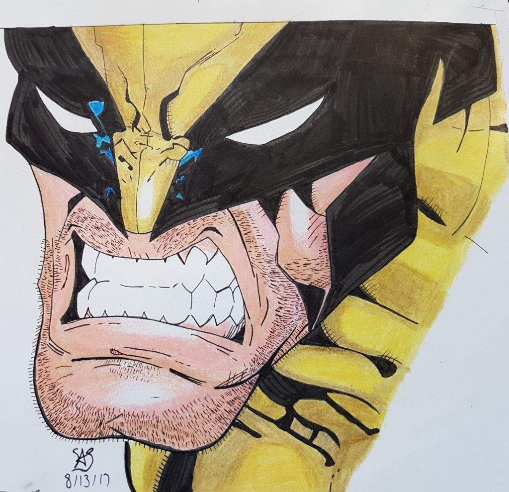 Detail Wolverine Cartoon Drawings Nomer 29