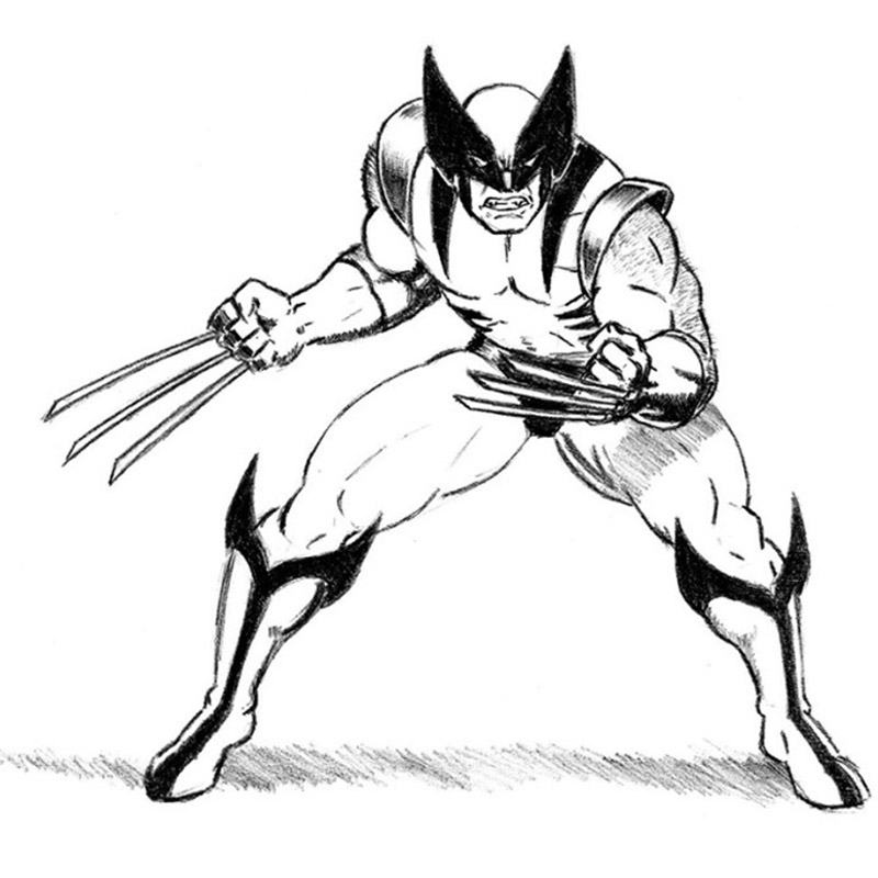 Detail Wolverine Cartoon Drawings Nomer 6