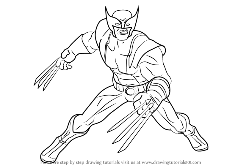 Detail Wolverine Cartoon Drawings Nomer 50