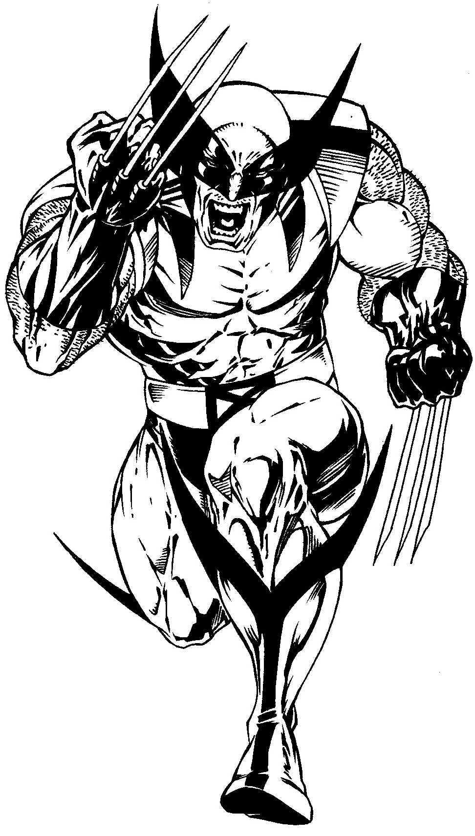 Detail Wolverine Cartoon Drawings Nomer 56