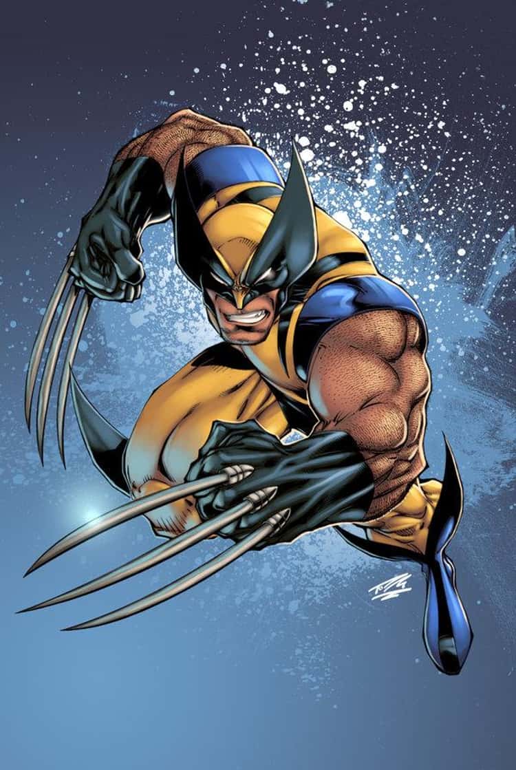 Detail Wolverine Cartoon Images Nomer 55