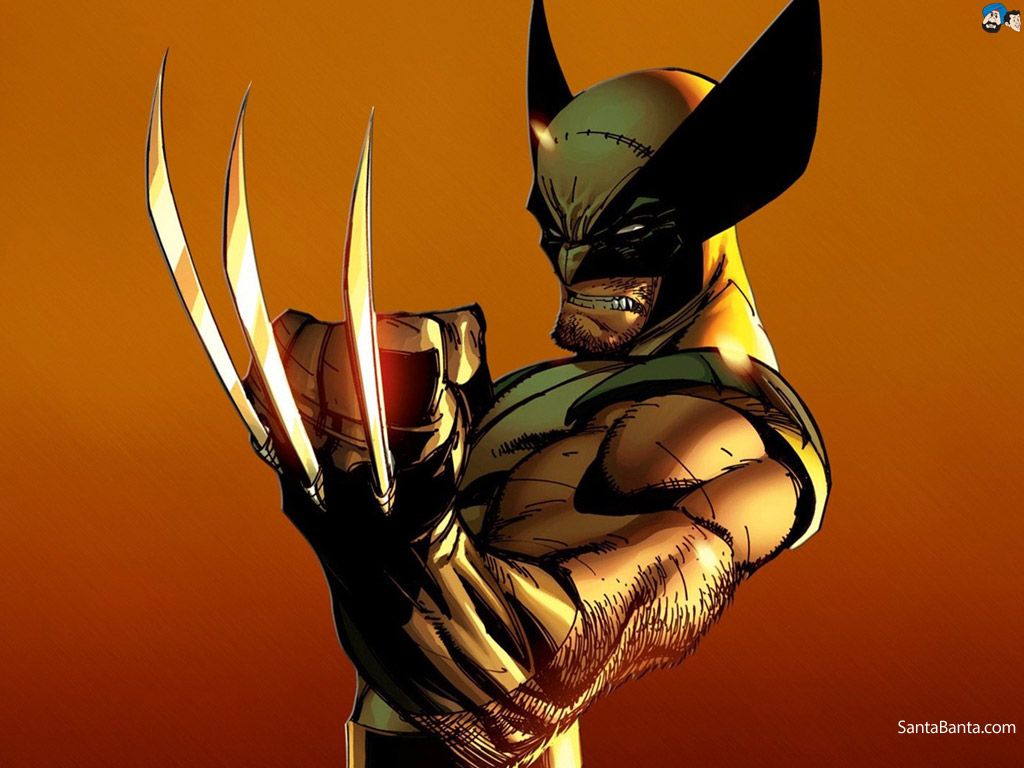Detail Wolverine Cartoon Pictures Nomer 51