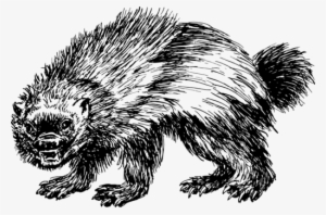 Detail Wolverine Clipart Black And White Nomer 29