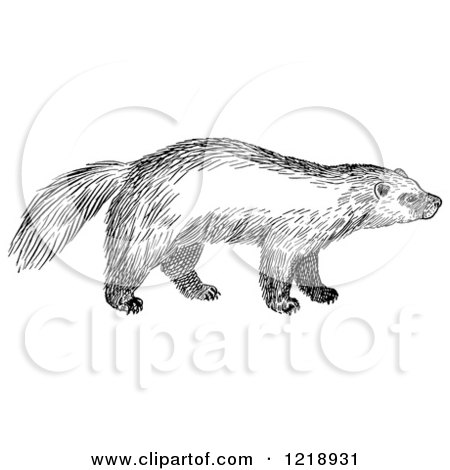Detail Wolverine Clipart Black And White Nomer 44