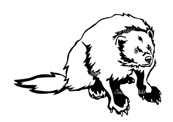 Detail Wolverine Clipart Black And White Nomer 45