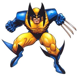 Wolverine Desenho - KibrisPDR