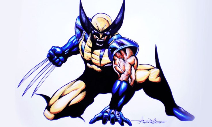 Detail Wolverine Desenho Nomer 50
