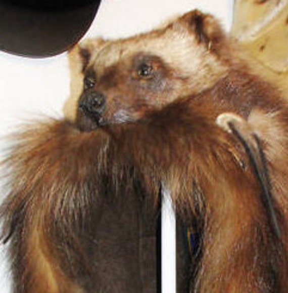 Detail Wolverine Hats Fur Nomer 12