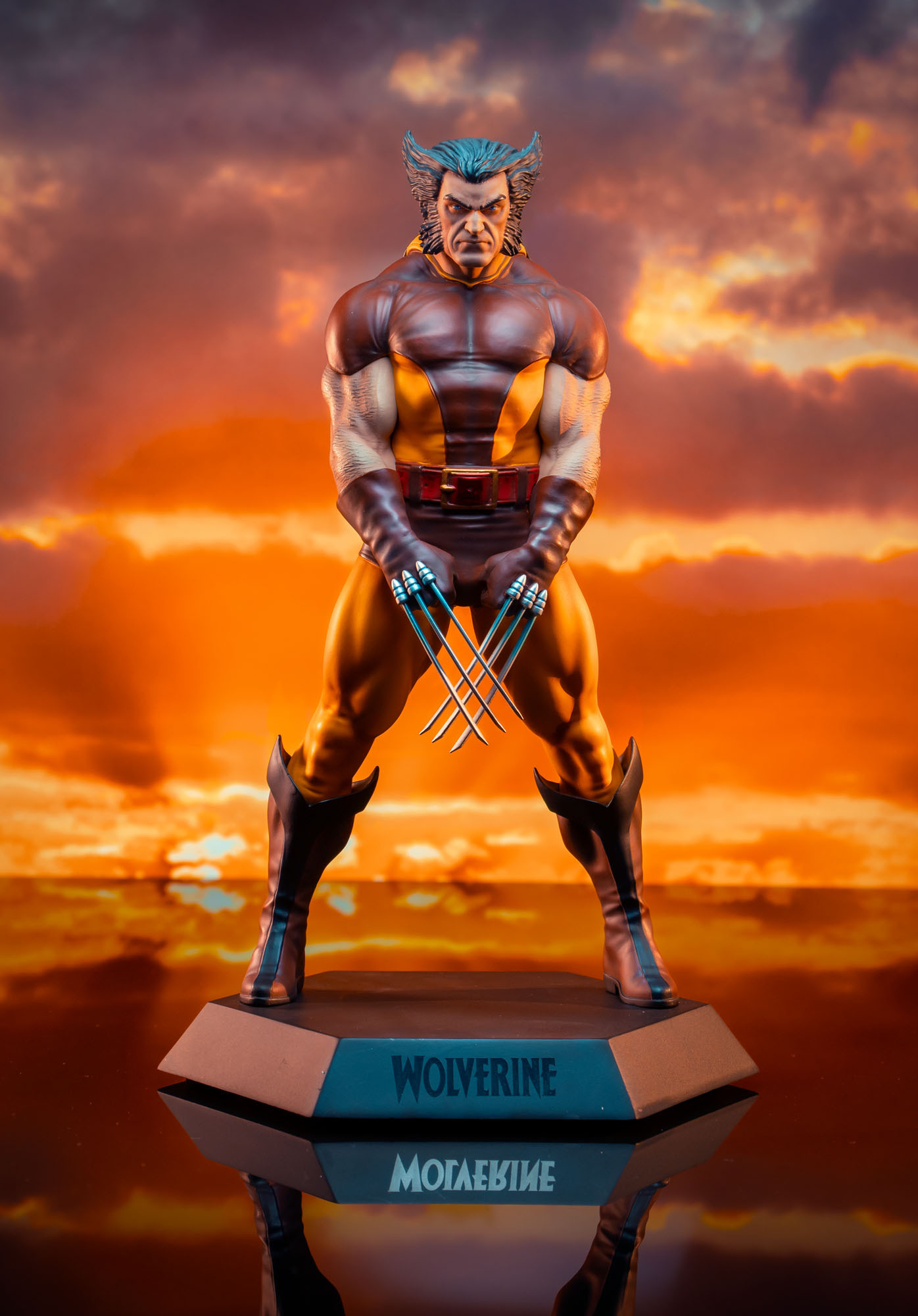 Detail Wolverine Image Gallery Nomer 11