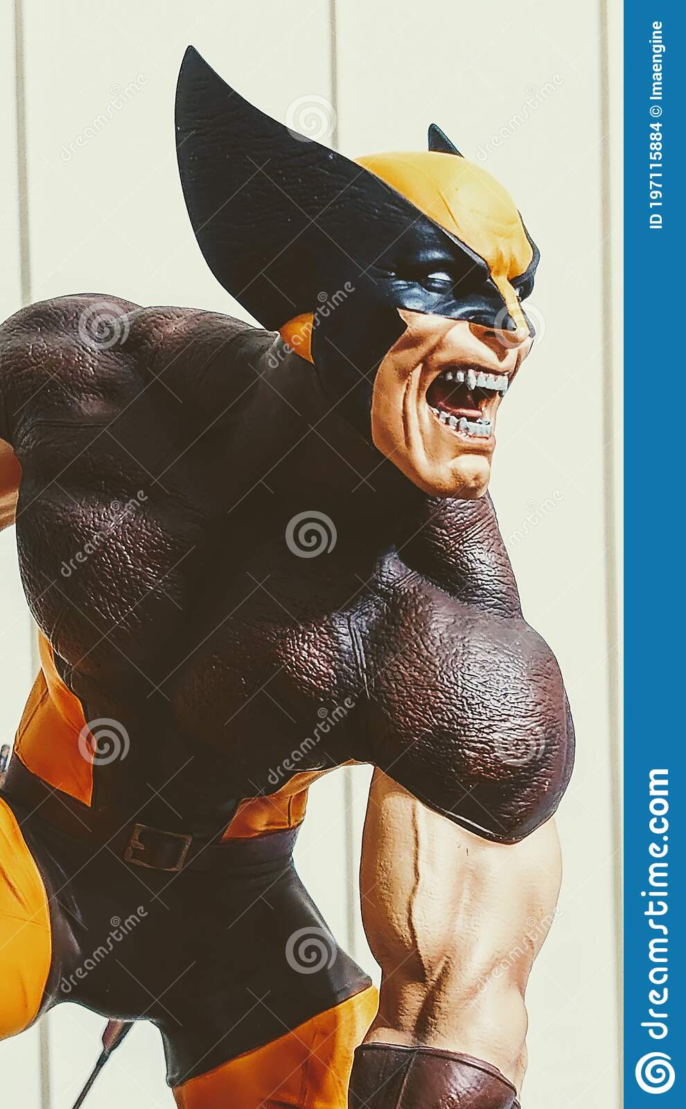 Detail Wolverine Image Gallery Nomer 30