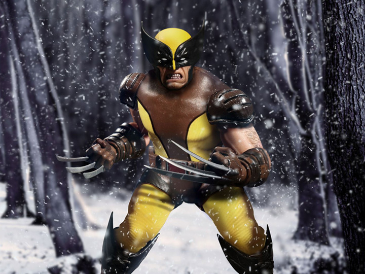 Detail Wolverine Image Gallery Nomer 43