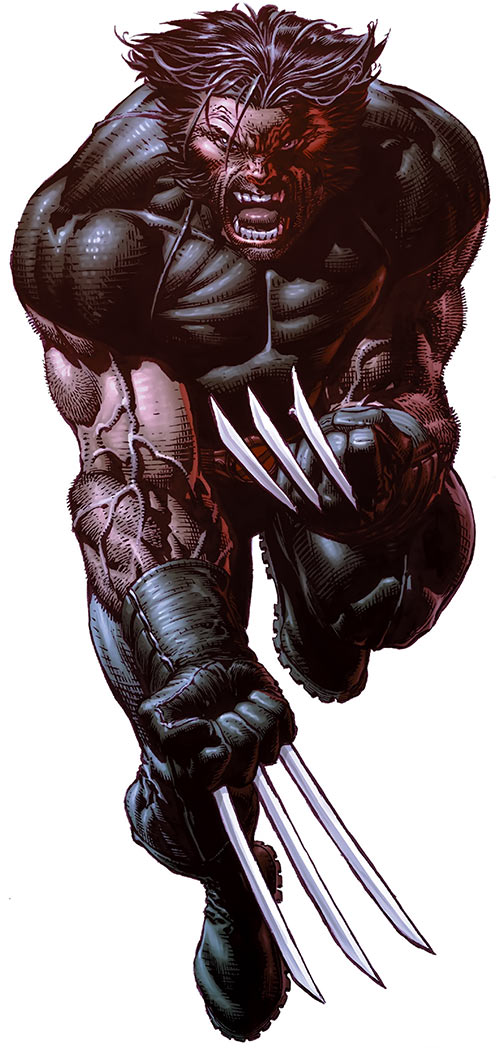 Detail Wolverine Images Marvel Nomer 30