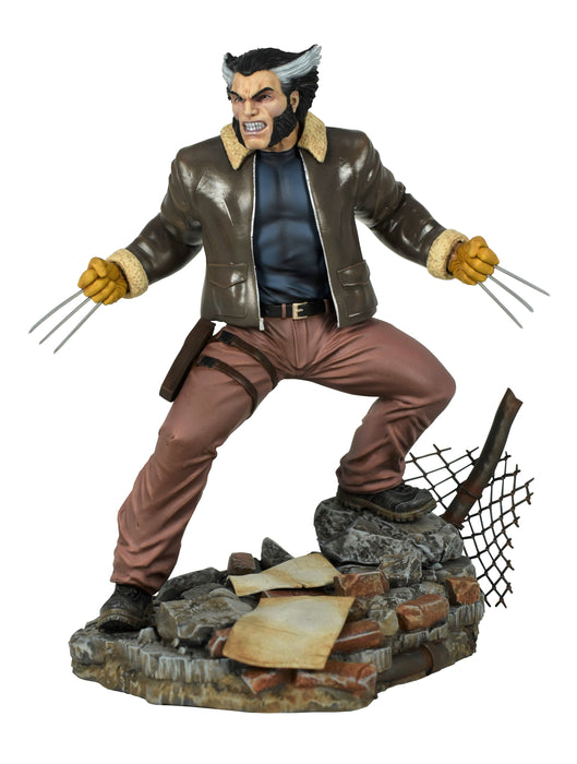 Detail Wolverine Pics Gallery Nomer 19
