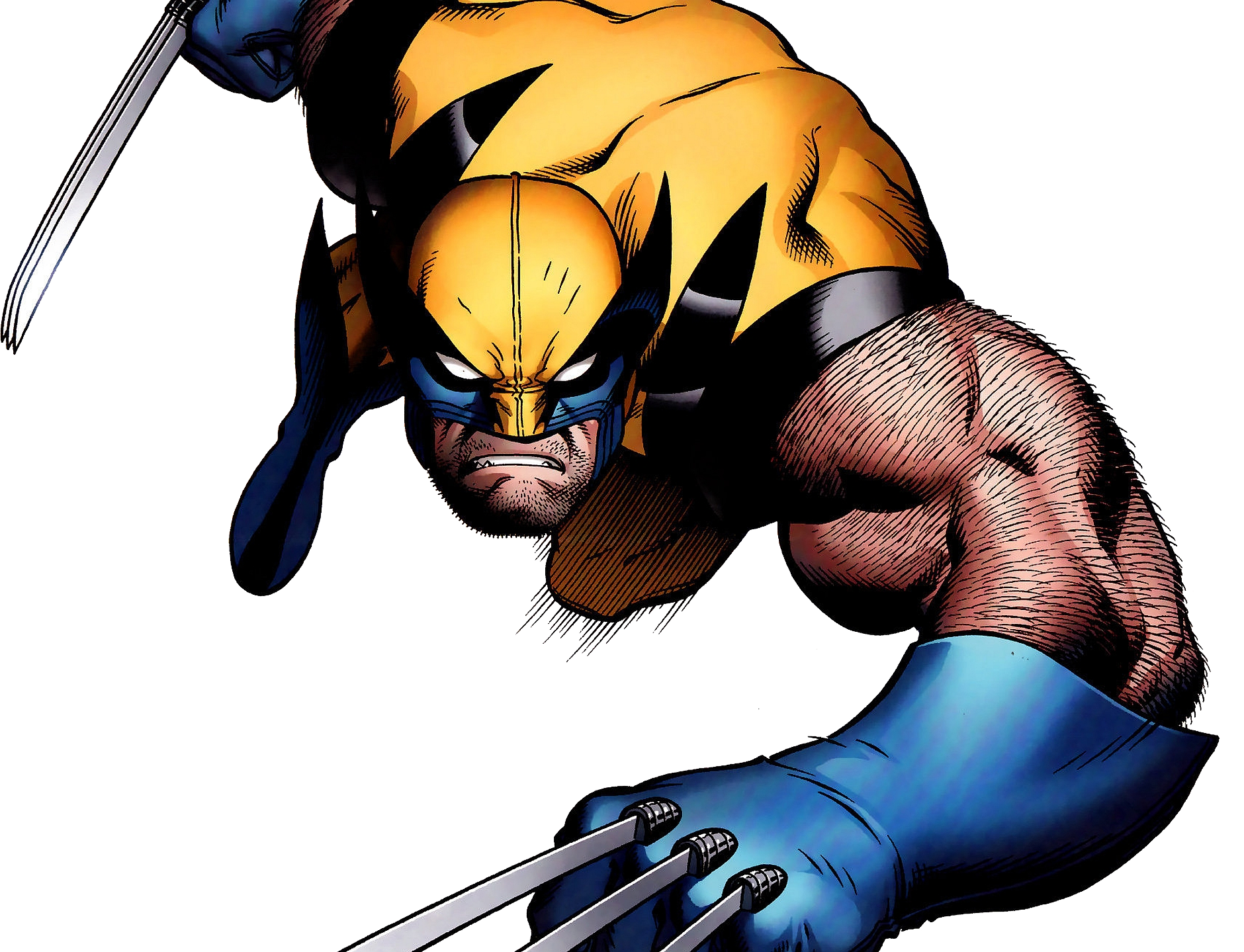 Detail Wolverine Png Nomer 33