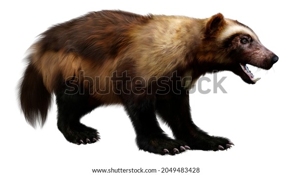 Detail Wolverine Render Nomer 51