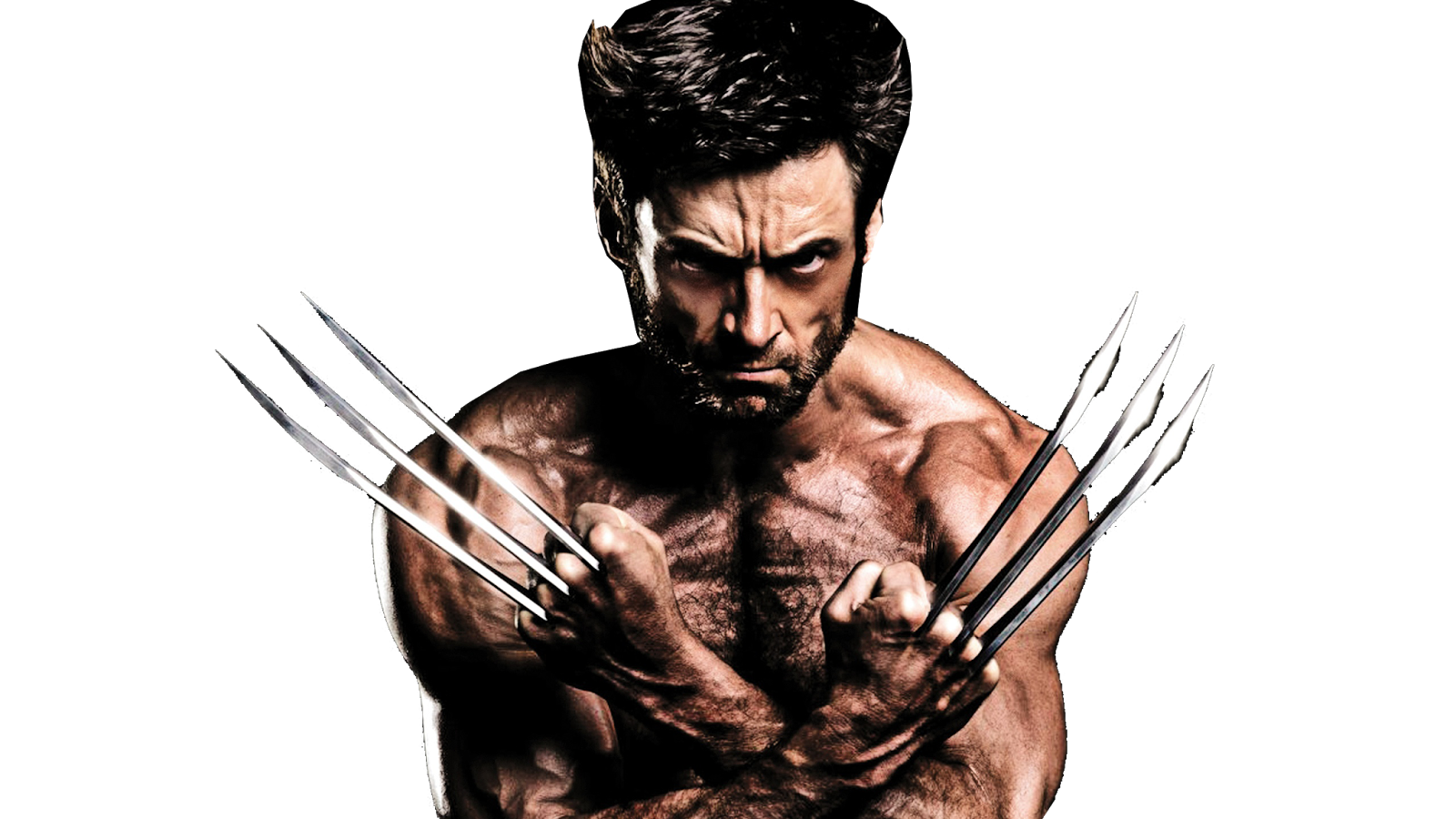Detail Wolverine Transparent Background Nomer 42