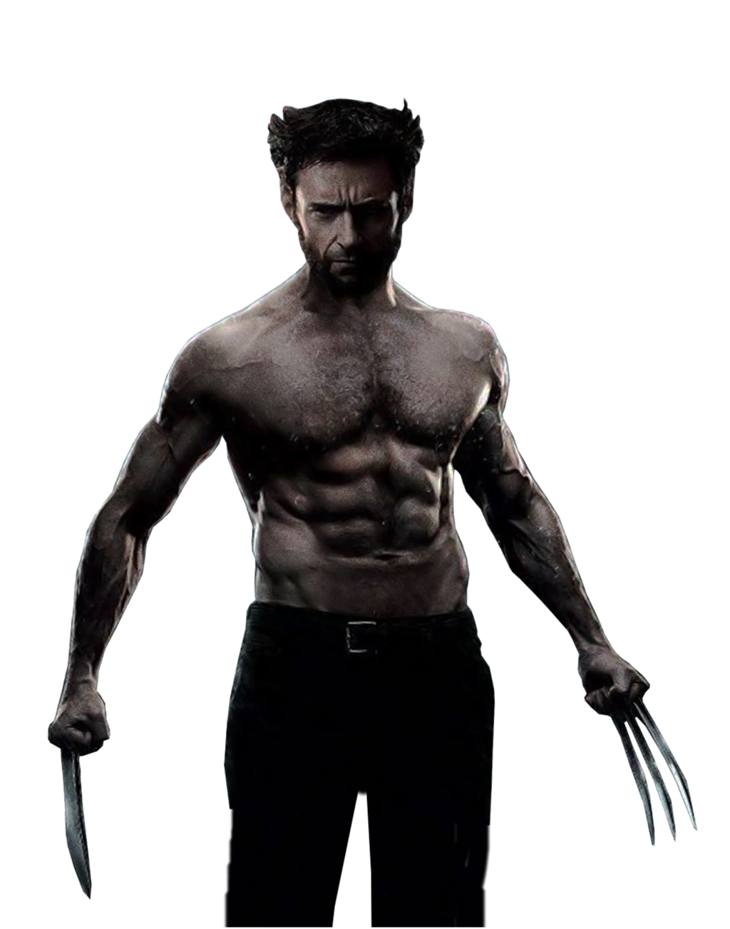 Detail Wolverine Transparent Background Nomer 46