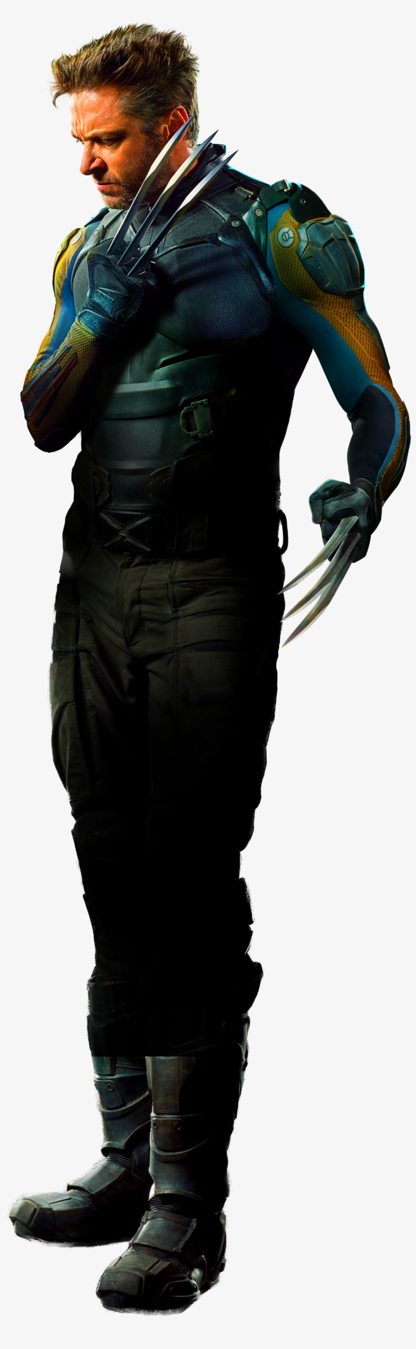 Detail Wolverine Transparent Background Nomer 50